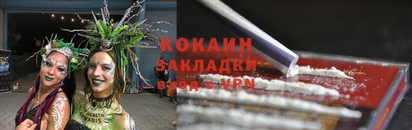 спиды Бородино