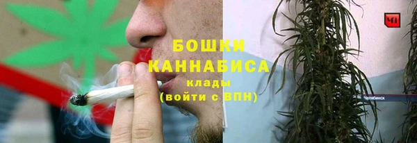 спиды Бородино