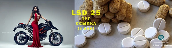 спиды Бородино