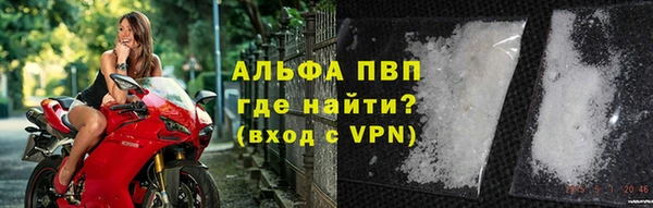 спиды Бородино