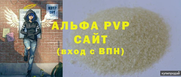 спиды Бородино