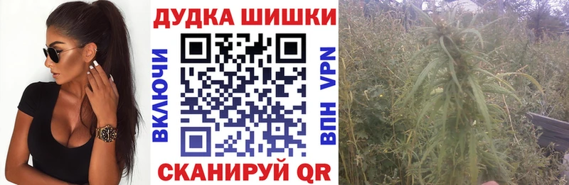 Бошки Шишки марихуана  купить   Братск 